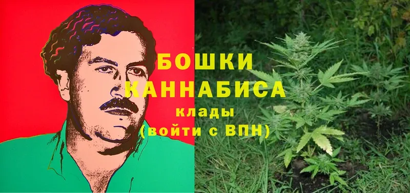 МАРИХУАНА White Widow  где купить наркоту  Кингисепп 